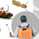 Pest Control Market