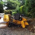 Stump Grinders Market Growing Massively by 2019-2024