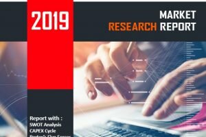 MarketInsights.biz 2019